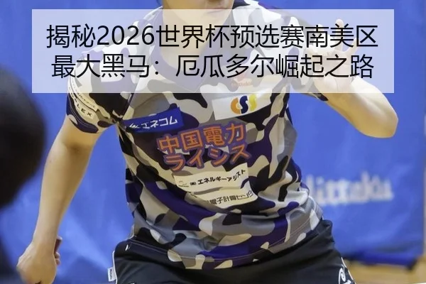 揭秘2026世界杯预选赛南美区最大黑马：厄瓜多尔崛起之路